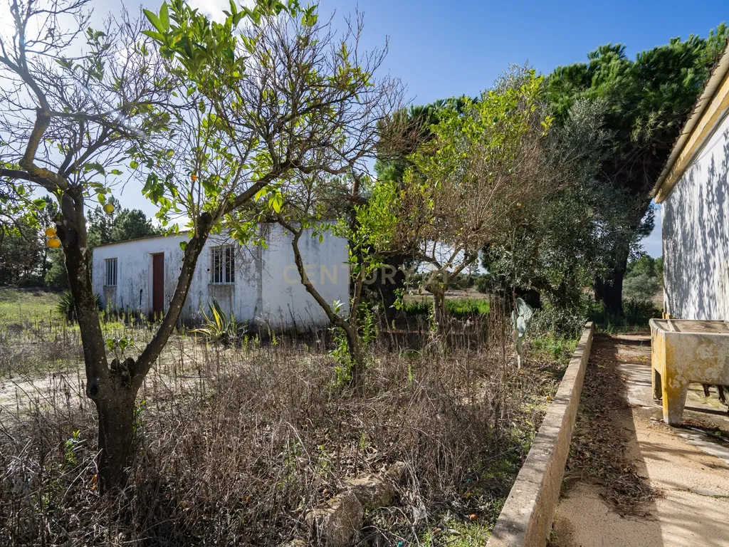 MORADIA C/ TERRENO 5 HA | FOROS DE ALMADA | PROJECTO APROVADO - Image 29