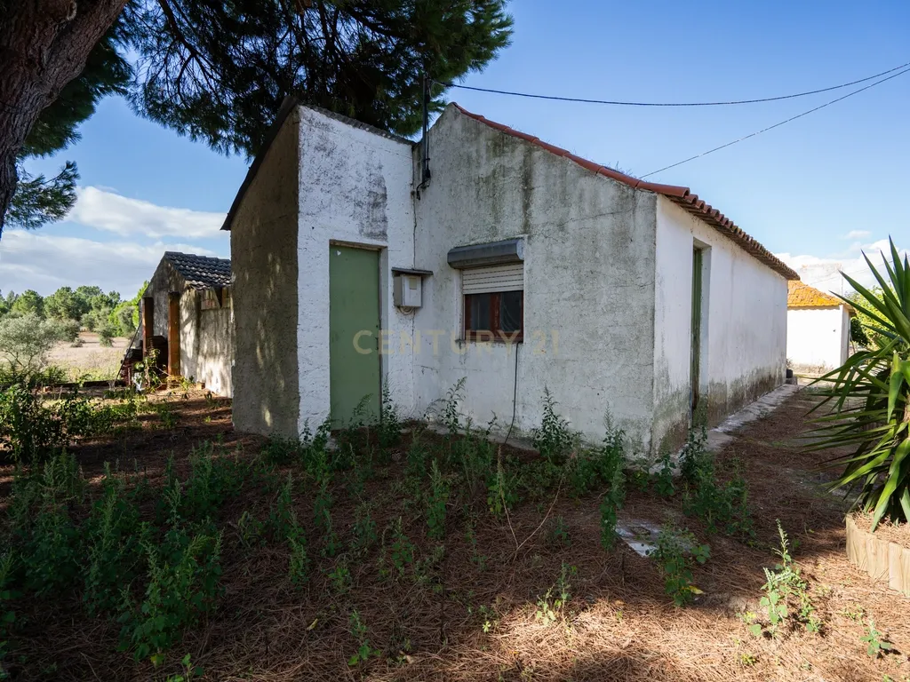MORADIA C/ TERRENO 5 HA | FOROS DE ALMADA | PROJECTO APROVADO - Image 4