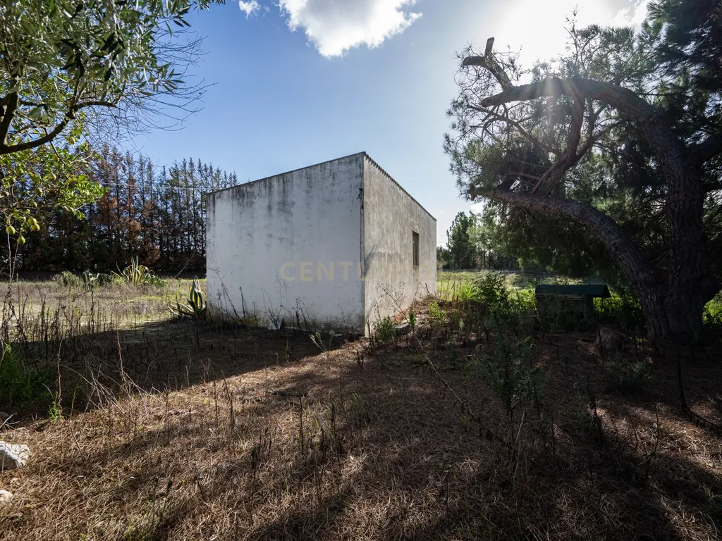 MORADIA C/ TERRENO 5 HA | FOROS DE ALMADA | PROJECTO APROVADO - Image 10