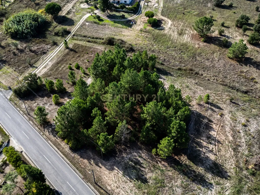 MORADIA C/ TERRENO 5 HA | FOROS DE ALMADA | PROJECTO APROVADO - Image 26