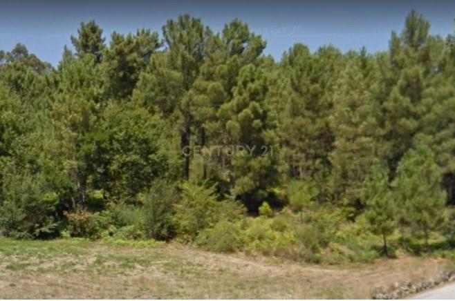 Terreno com viabilidade de construção a 6 min centro Viseu - Image 7