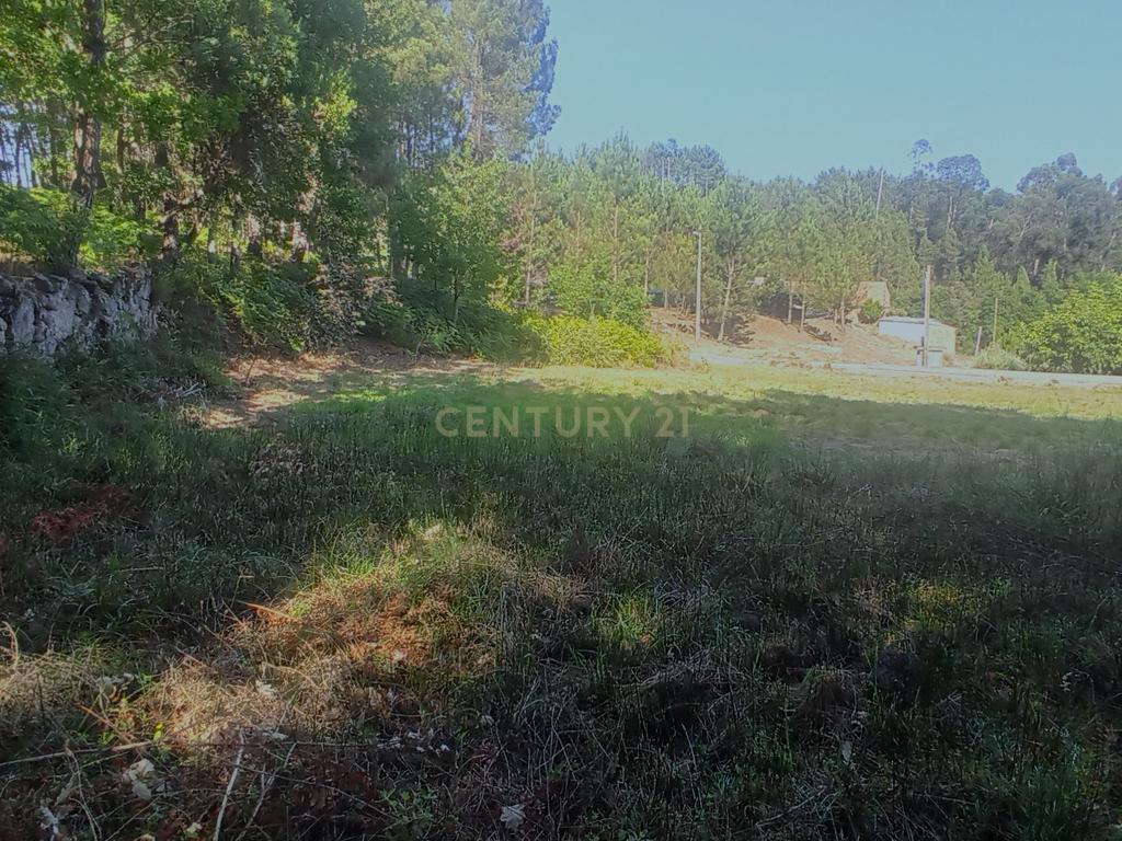 Terreno com viabilidade de construção a 6 min centro Viseu - Image 11