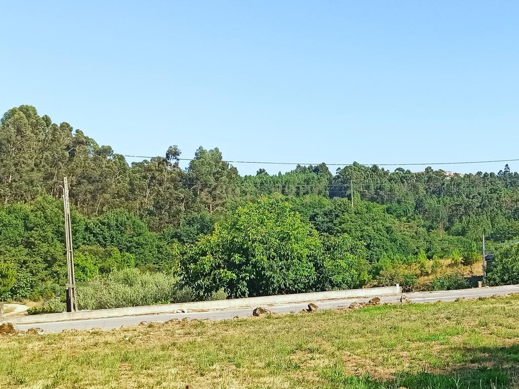 Terreno com viabilidade de construção a 6 min centro Viseu - Image 6