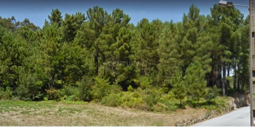 Terreno com viabilidade de construção a 6 min centro Viseu - Image 13