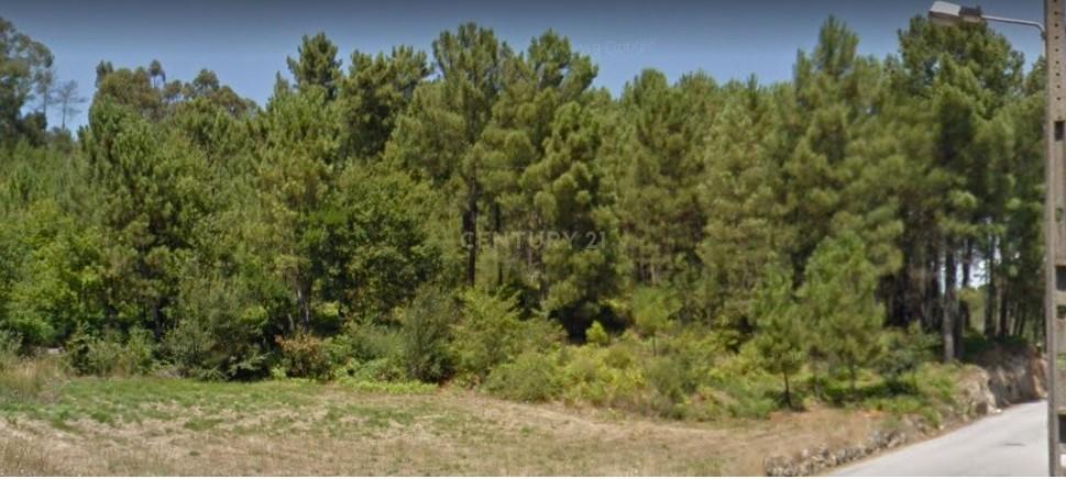 Terreno com viabilidade de construção a 6 min centro Viseu - Image 12