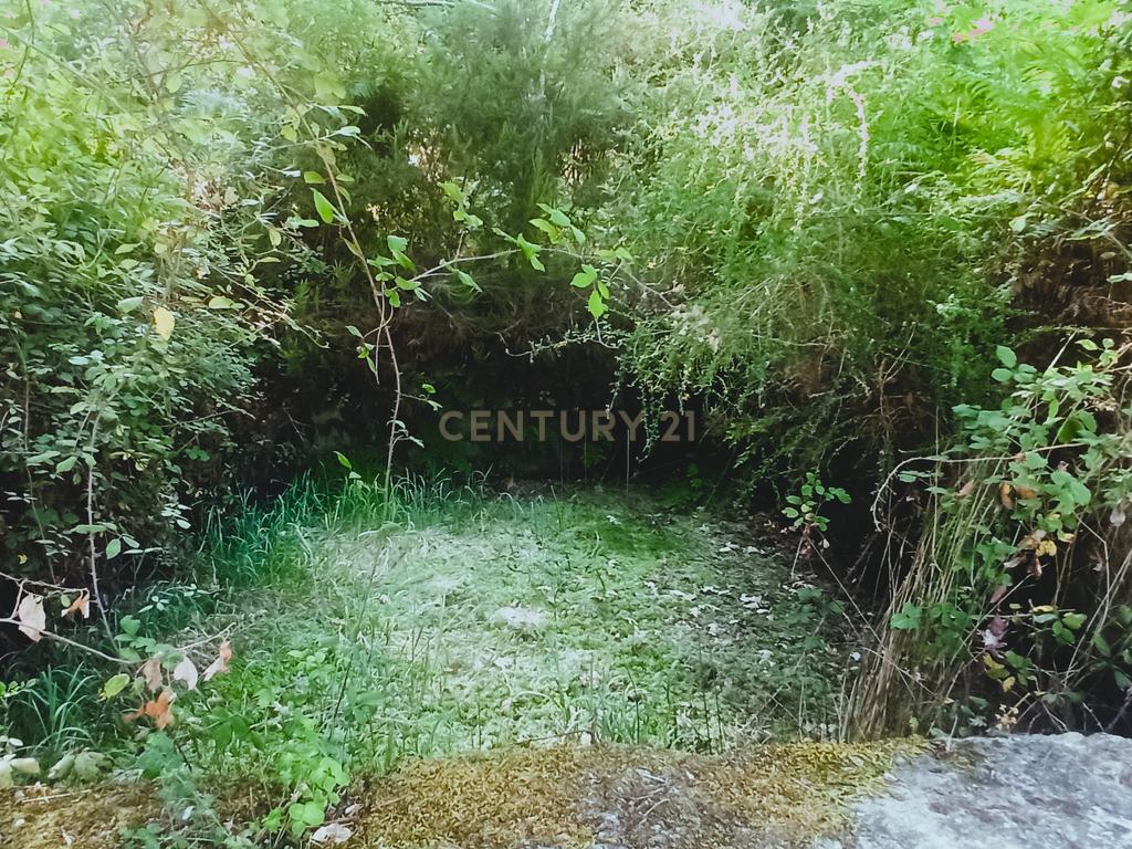 Terreno com viabilidade de construção a 6 min centro Viseu - Image 9