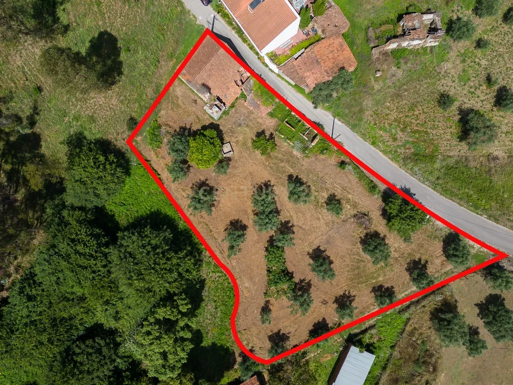 Quinta para venda em Paio Mendes - Ferreira do Zezere - Image 20