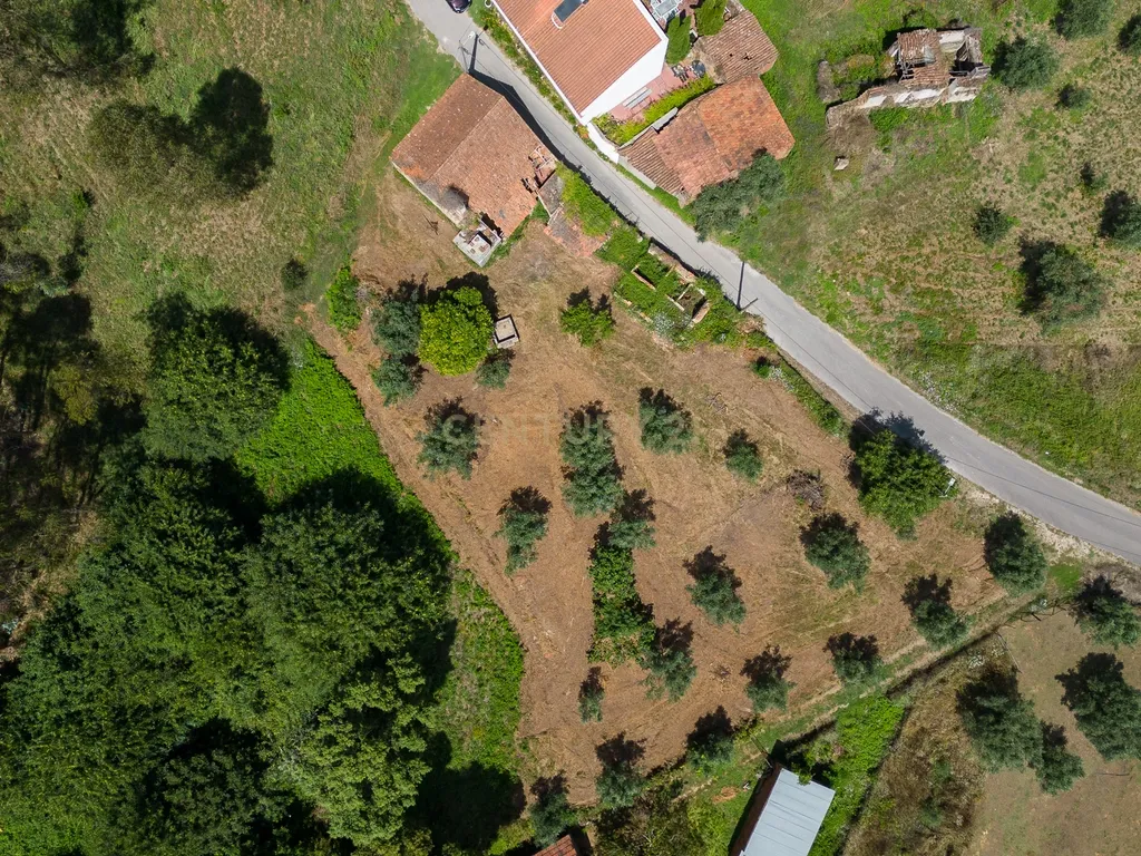 Quinta para venda em Paio Mendes - Ferreira do Zezere - Image 19