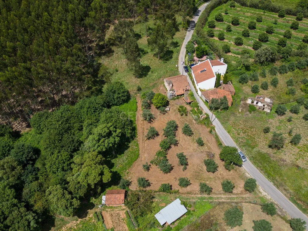 Quinta para venda em Paio Mendes - Ferreira do Zezere - Image 21