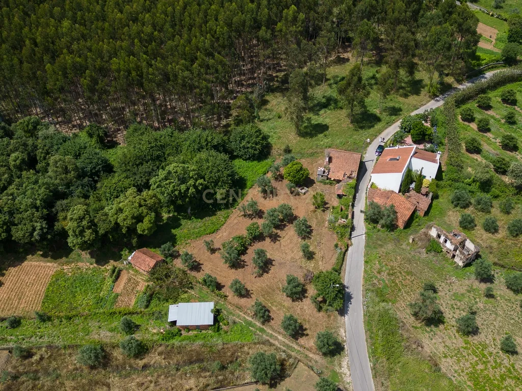 Quinta para venda em Paio Mendes - Ferreira do Zezere - Image 28