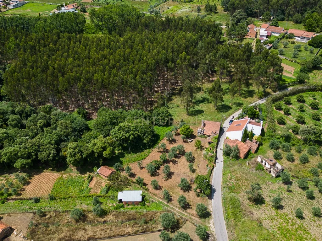 Quinta para venda em Paio Mendes - Ferreira do Zezere - Image 24