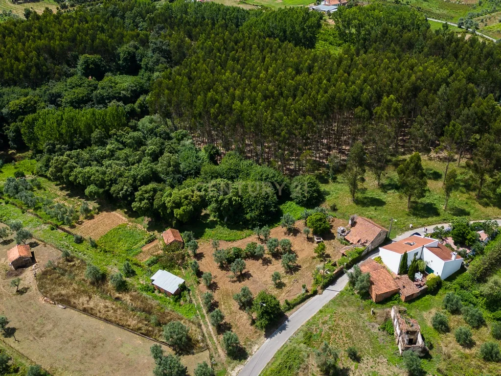 Quinta para venda em Paio Mendes - Ferreira do Zezere - Image 25