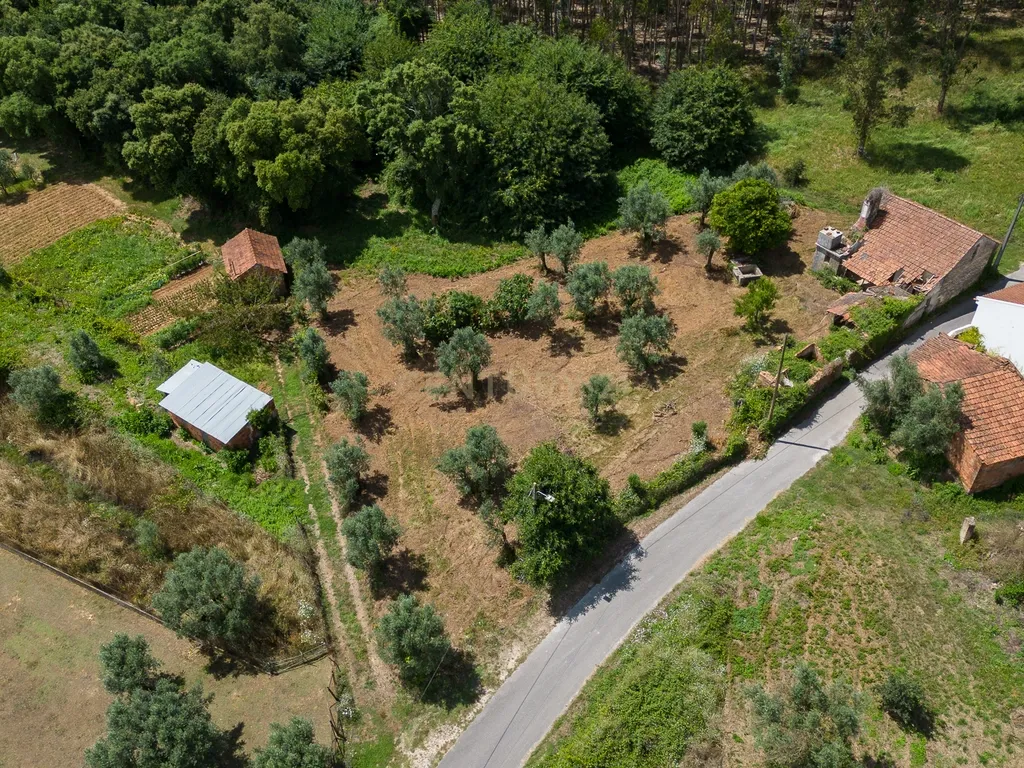 Quinta para venda em Paio Mendes - Ferreira do Zezere - Image 26