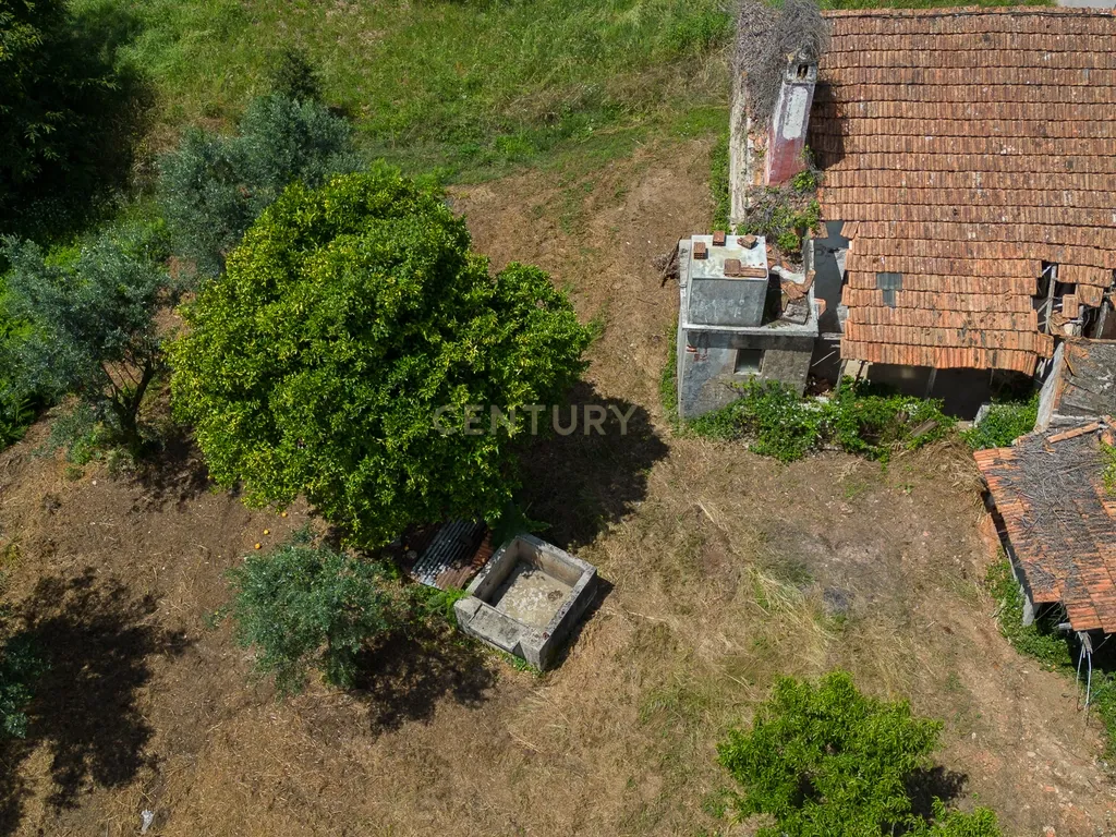 Quinta para venda em Paio Mendes - Ferreira do Zezere - Image 32