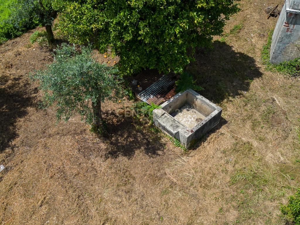 Quinta para venda em Paio Mendes - Ferreira do Zezere - Image 29