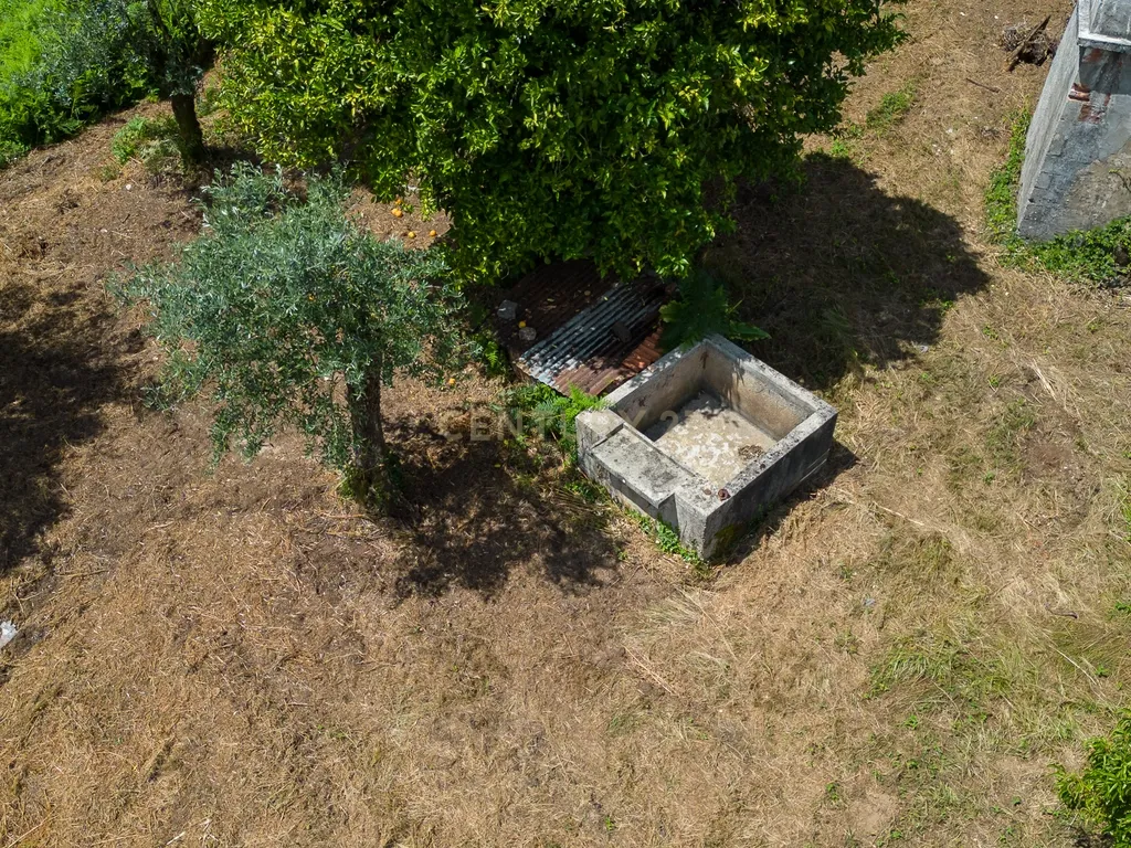 Quinta para venda em Paio Mendes - Ferreira do Zezere - Image 29