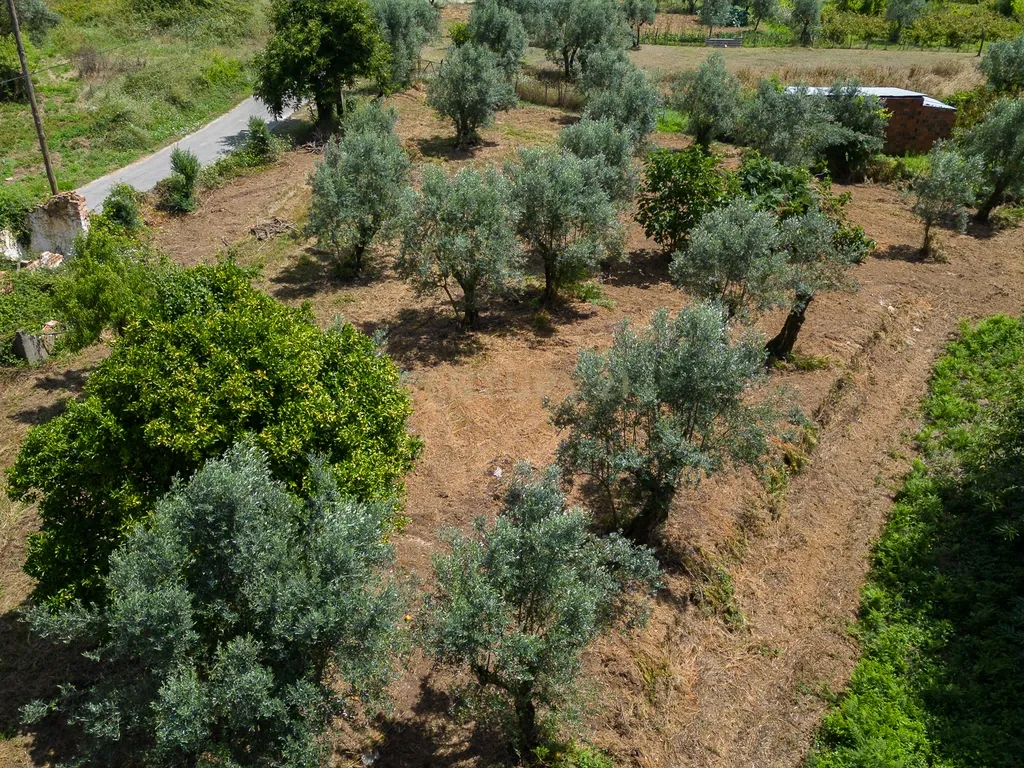 Quinta para venda em Paio Mendes - Ferreira do Zezere - Image 33