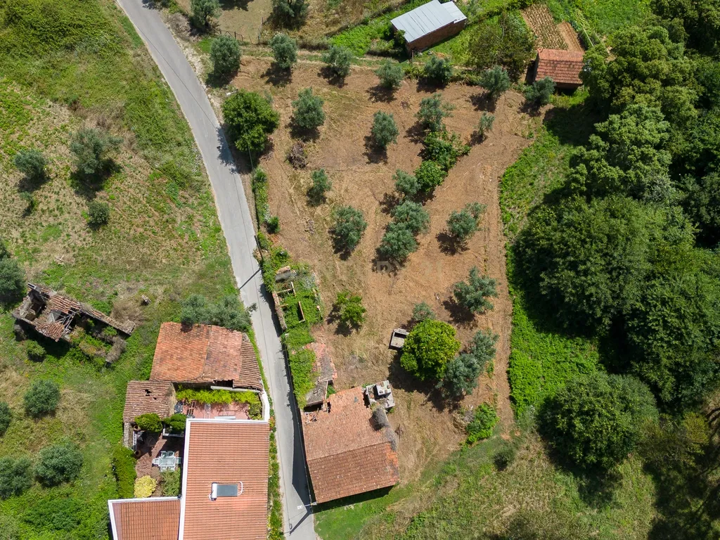Quinta para venda em Paio Mendes - Ferreira do Zezere - Image 17