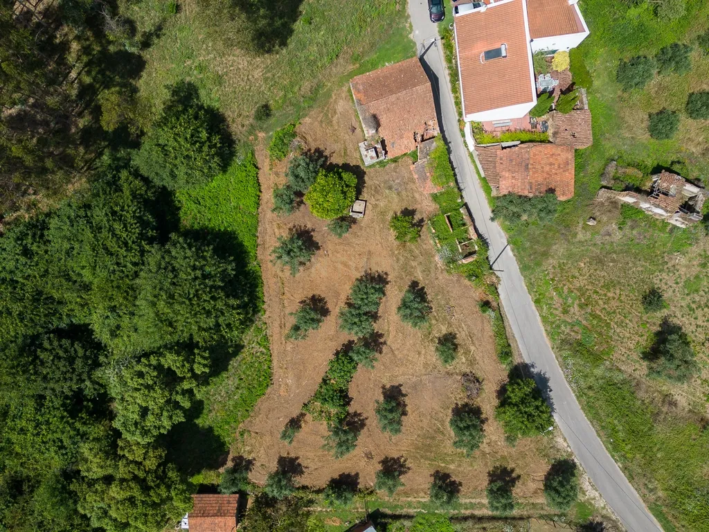Quinta para venda em Paio Mendes - Ferreira do Zezere - Image 34