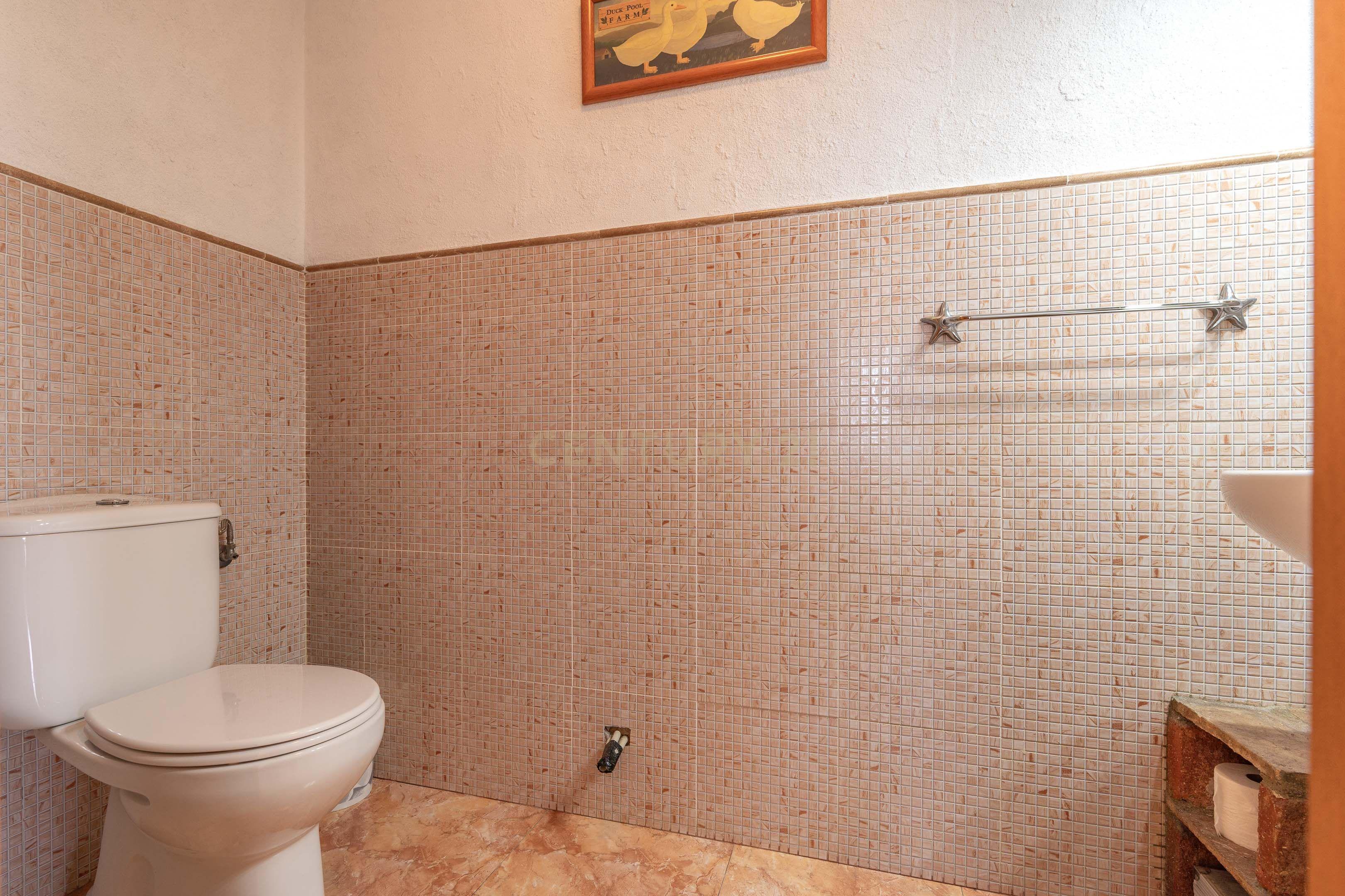 undefined - Image 16