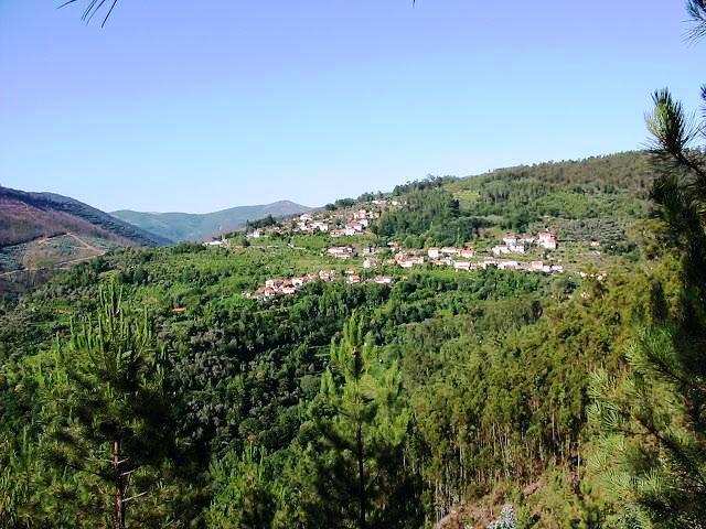 Terreno - Quinta Stª. Justa - Cultura e Pinhal - 6,98 ha - Valongo - Image 2