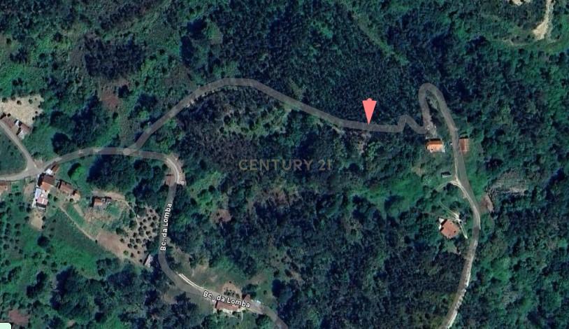 Casa em Ruína inserida em terreno com um enorme potencial  - Image 2