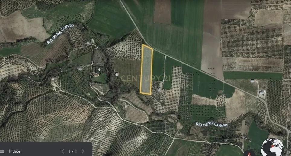 Quinta de 1,8 ha com pistácios em produção, abastecimento de água garantido, terreno praticamente plano com acesso rodoviário directo e grande potencial agrícola e energético – a 25 minutos de Ronda e a 1 hora da Costa del Sol e do Aeroporto de Málaga - Image 16