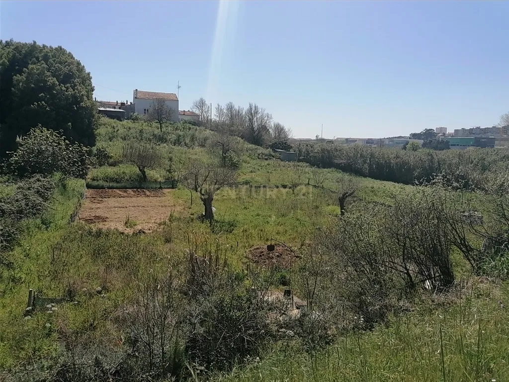 Terreno 2235 m2 para venda na Figueira da Foz - Image 4