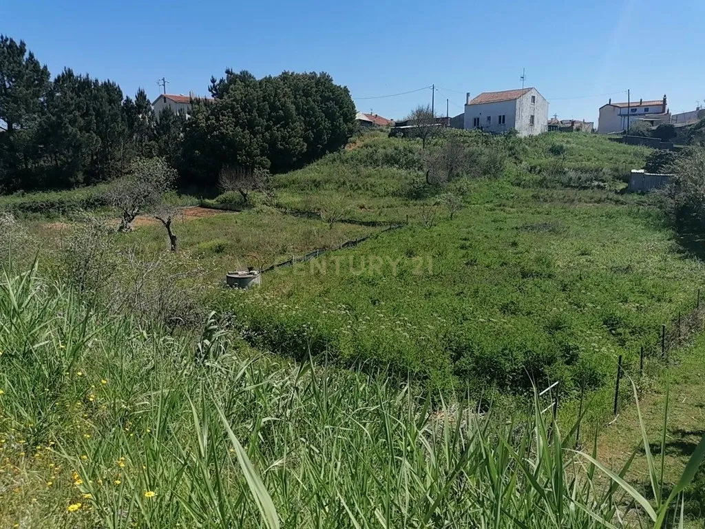 Terreno 2235 m2 para venda na Figueira da Foz - Image 3