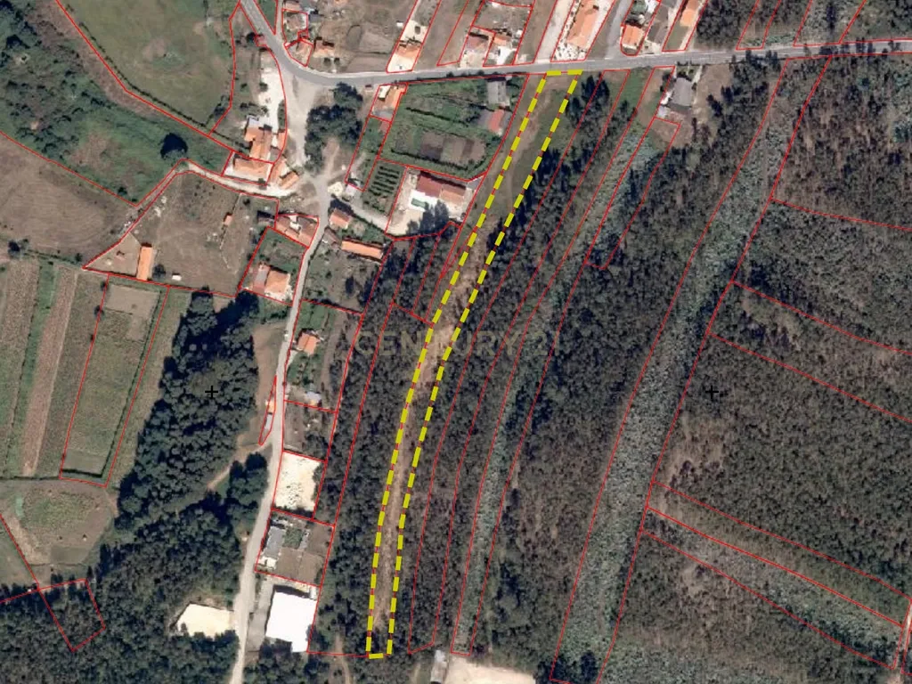 Terreno para Construção de 4284 m² em Valpedre, Penafiel - Image 3