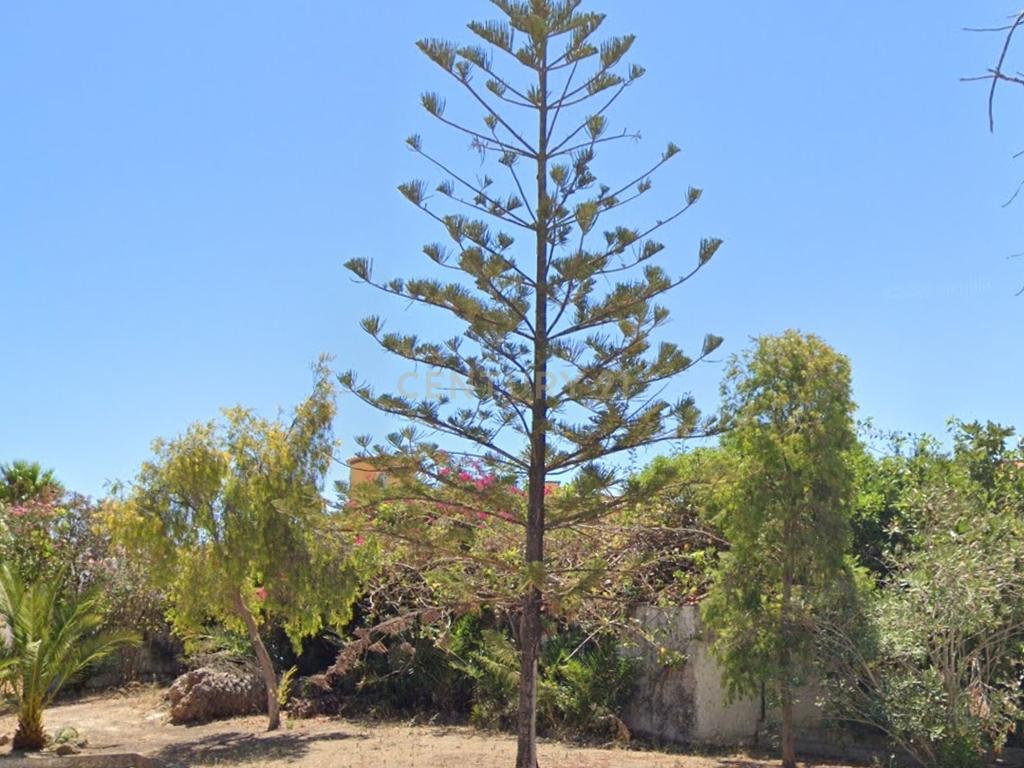 Terreno com projecto aprovado em Albufeira na zona do Pateo com 791m2 - Image 9