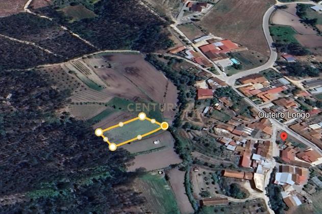 Terreno Rústico em Coimbra - Oportunidade Única por 2900€ - Image 1