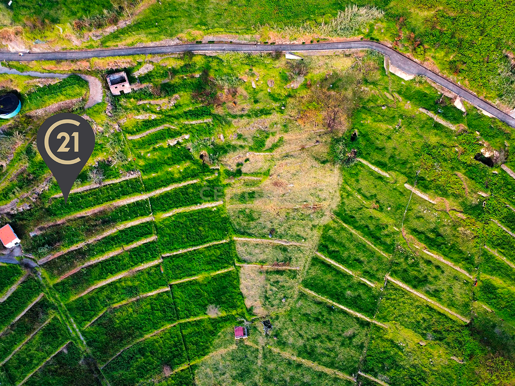Terreno para Construção na Ponta do Pargo – 8.000 m² em Vale Privilegiado Próximo ao Novo Campo de Golfe - Image 4