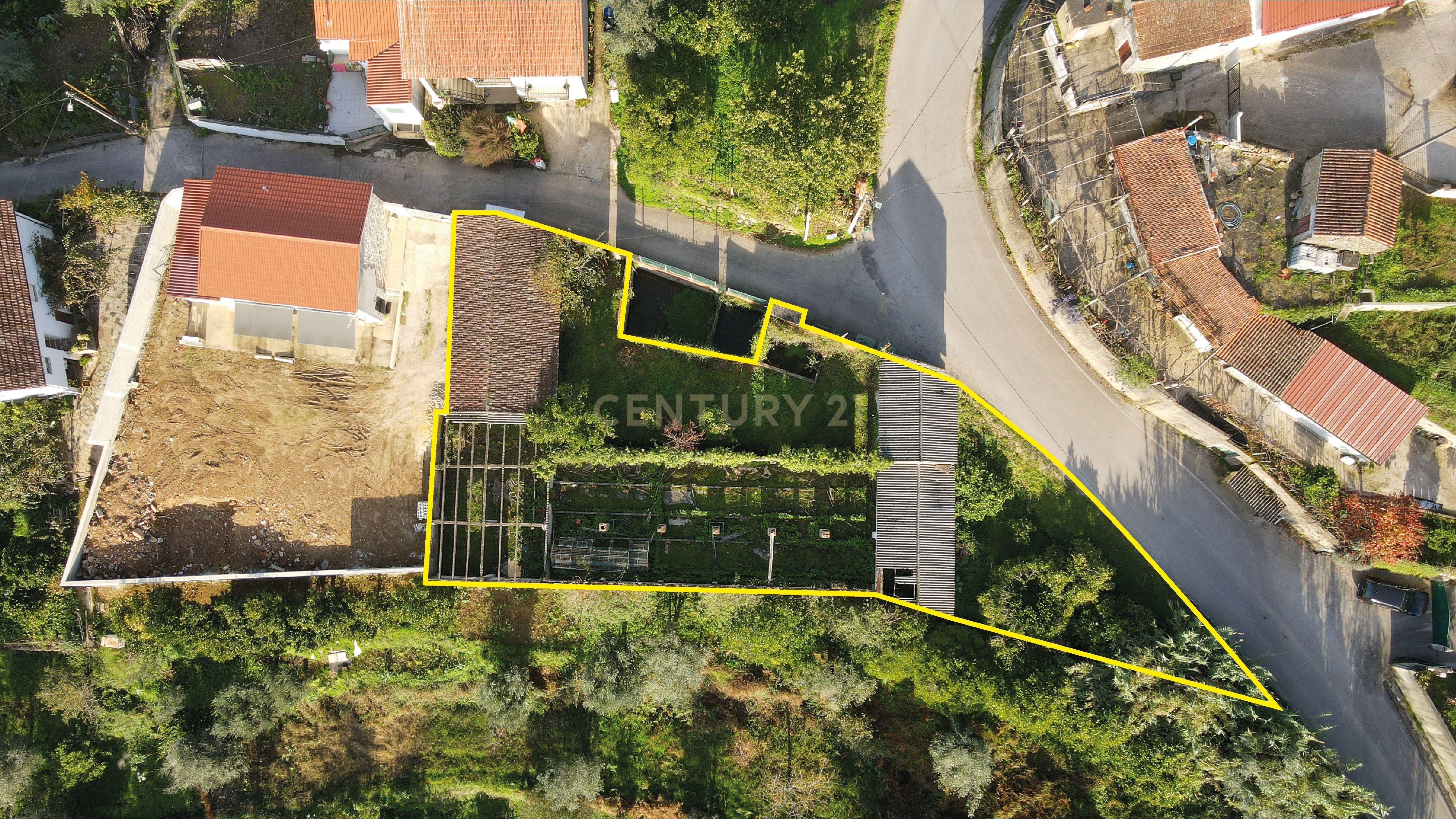 Ruína com terreno - Vila Nova, Miranda do Corvo - Image 6