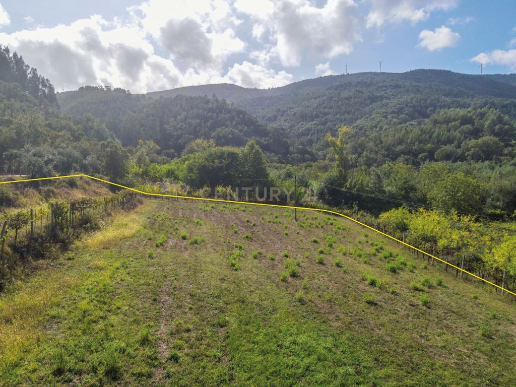Terreno com possibilidade de construção Reguengo - Image 5