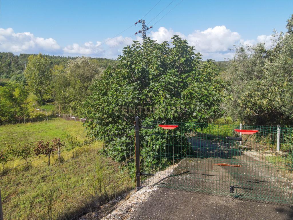 Terreno com possibilidade de construção Reguengo - Image 4