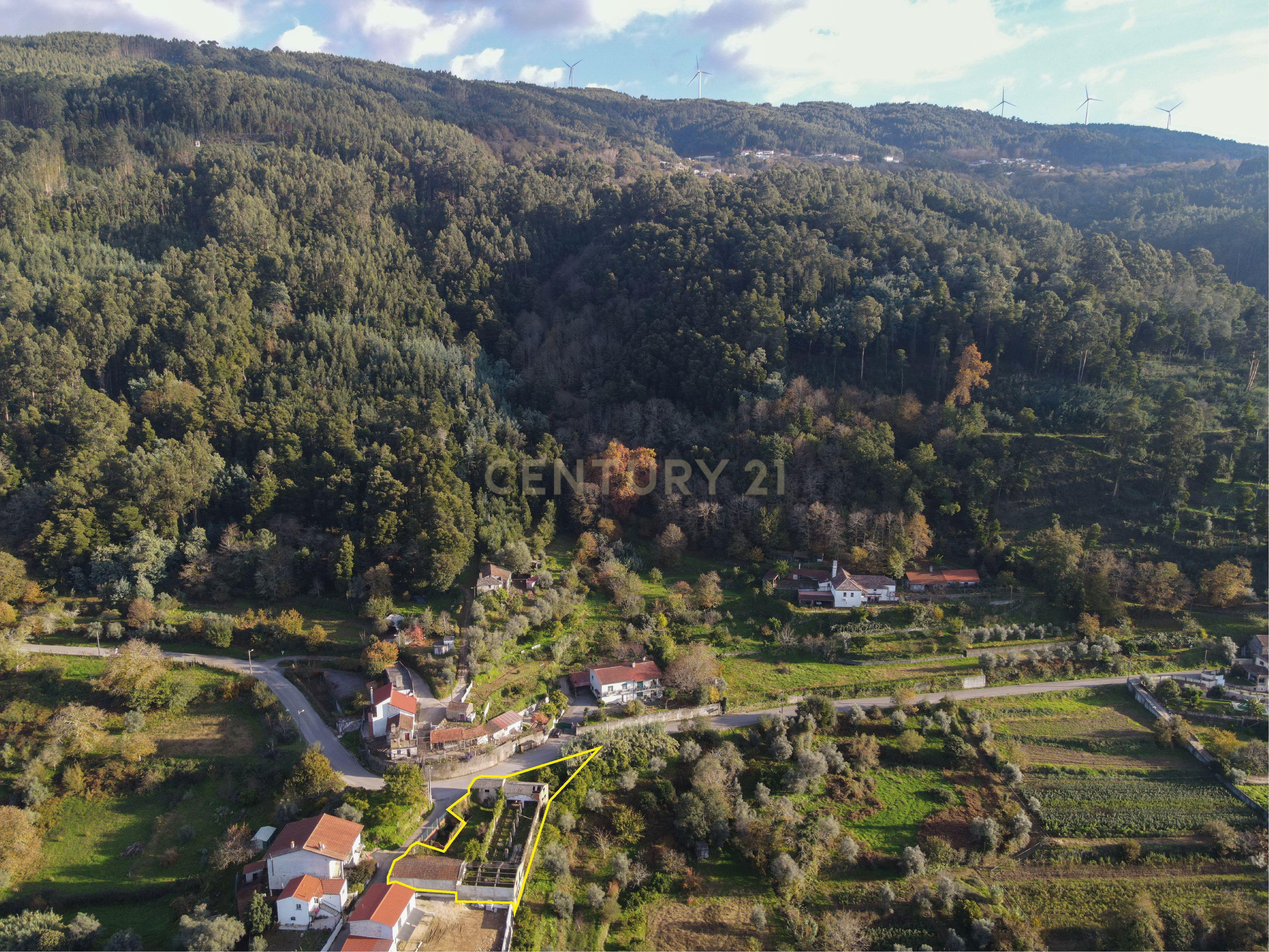 Ruína com terreno - Vila Nova, Miranda do Corvo - Image 4