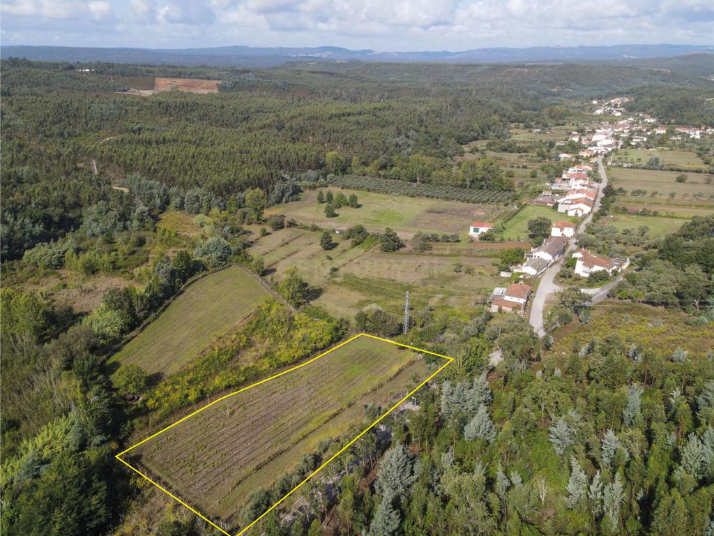 Terreno com possibilidade de construção Reguengo - Image 9