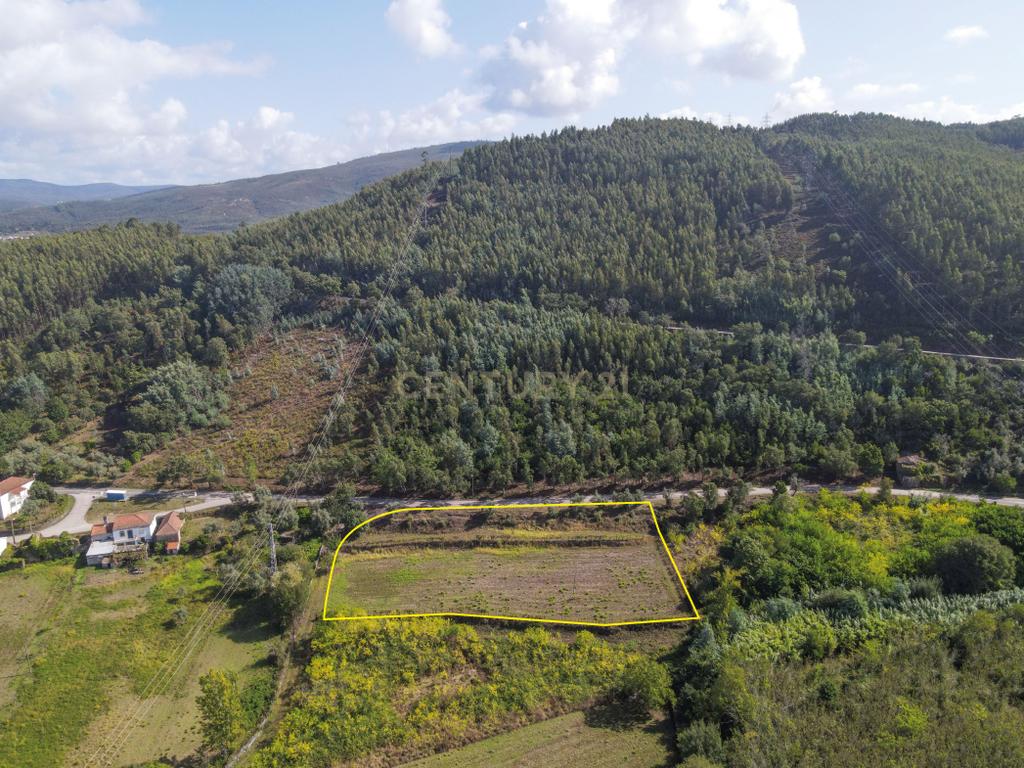 Terreno com possibilidade de construção Reguengo - Image 8
