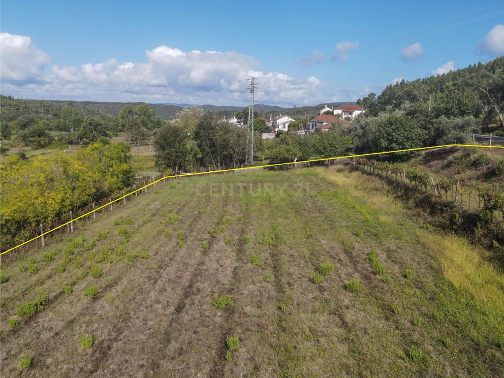 Terreno com possibilidade de construção Reguengo - Image 6