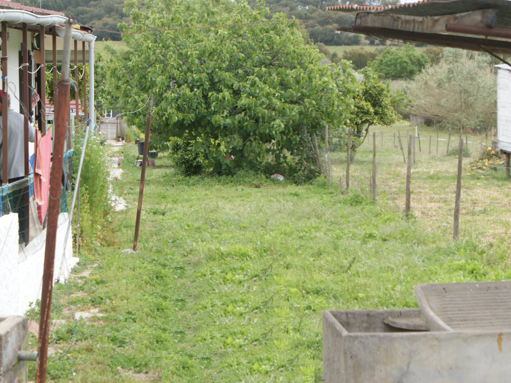 Moradia T1 em Vale de Figueira, Santarém - Image 12