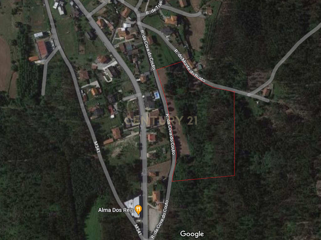 Terreno com 23.000 m2 em Igreja Nova - Barcelos - Image 5