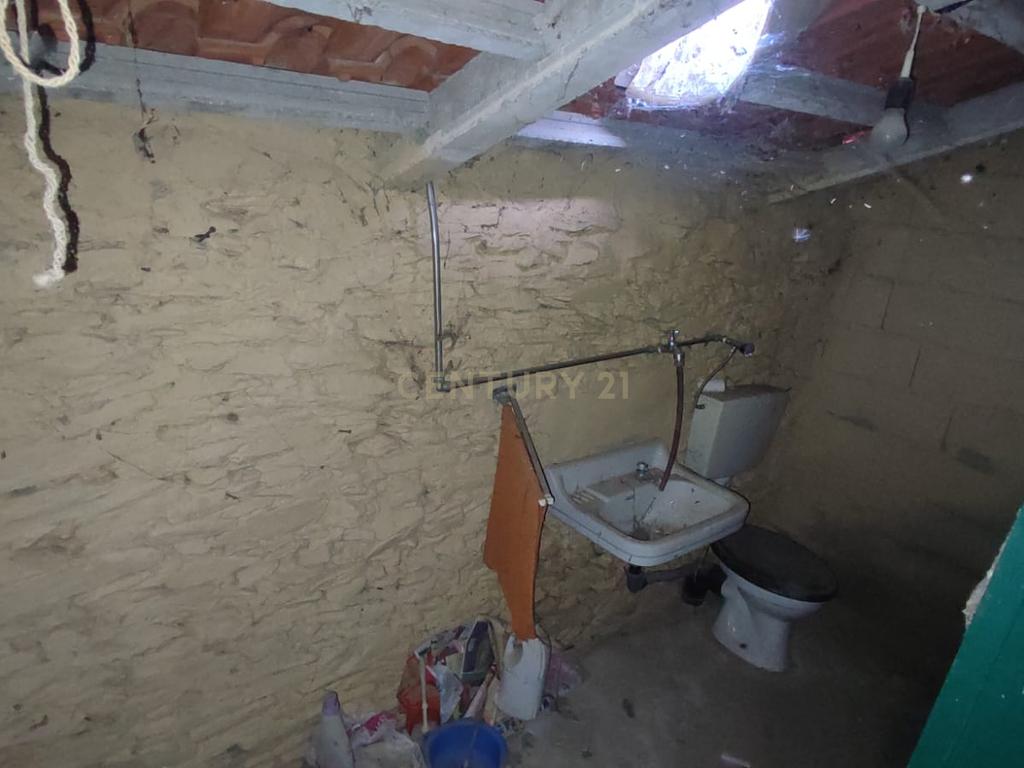 MORADIA EM XISTO na aldeia de Cegonhas, Rosmaninhal - Image 12