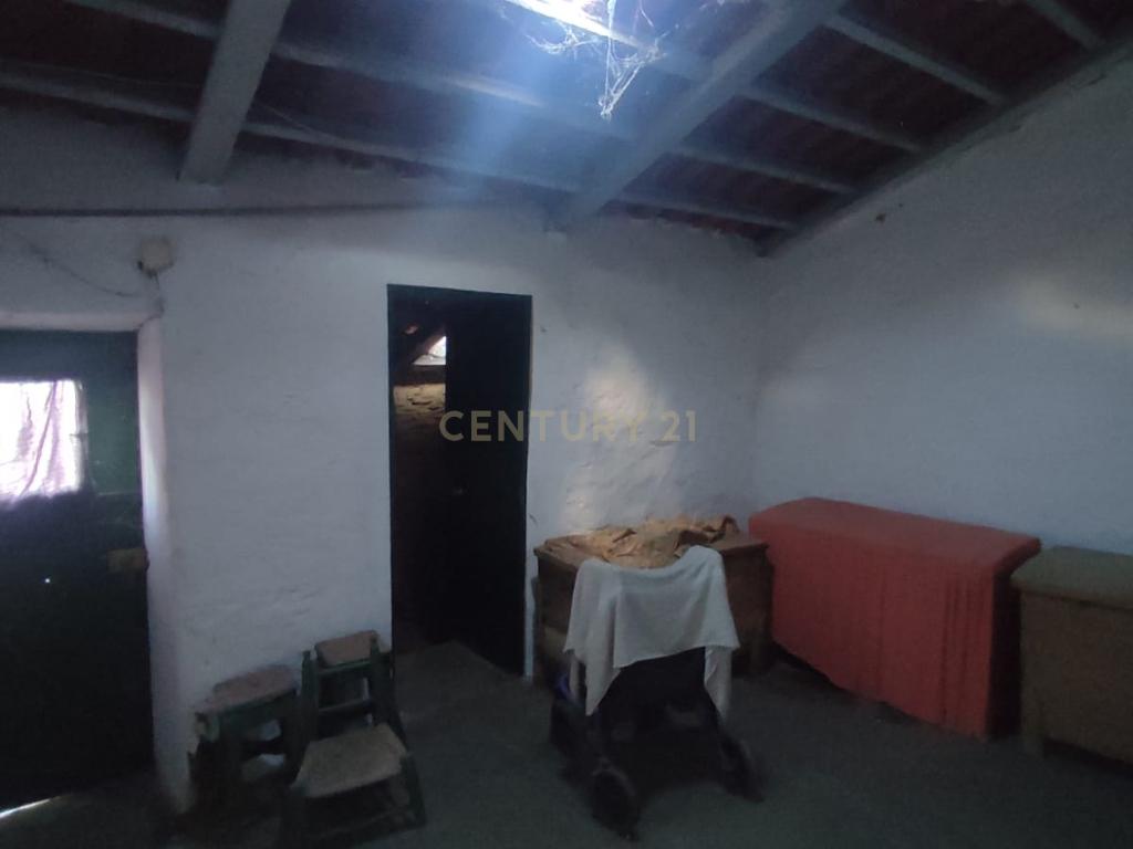 MORADIA EM XISTO na aldeia de Cegonhas, Rosmaninhal - Image 13