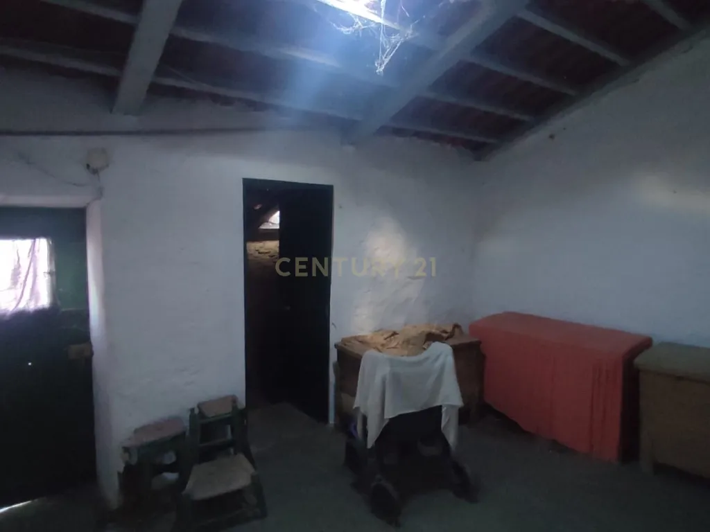 MORADIA EM XISTO na aldeia de Cegonhas, Rosmaninhal - Image 13