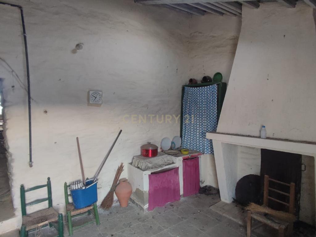 MORADIA EM XISTO na aldeia de Cegonhas, Rosmaninhal - Image 15