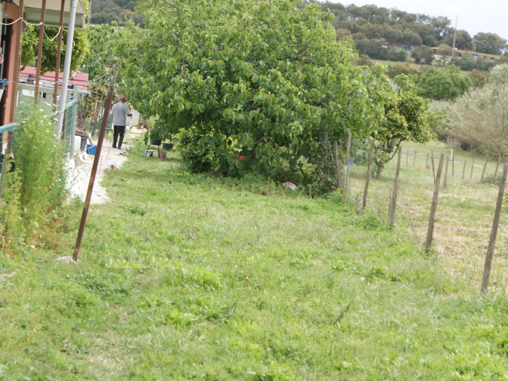 Moradia T1 em Vale de Figueira, Santarém - Image 13