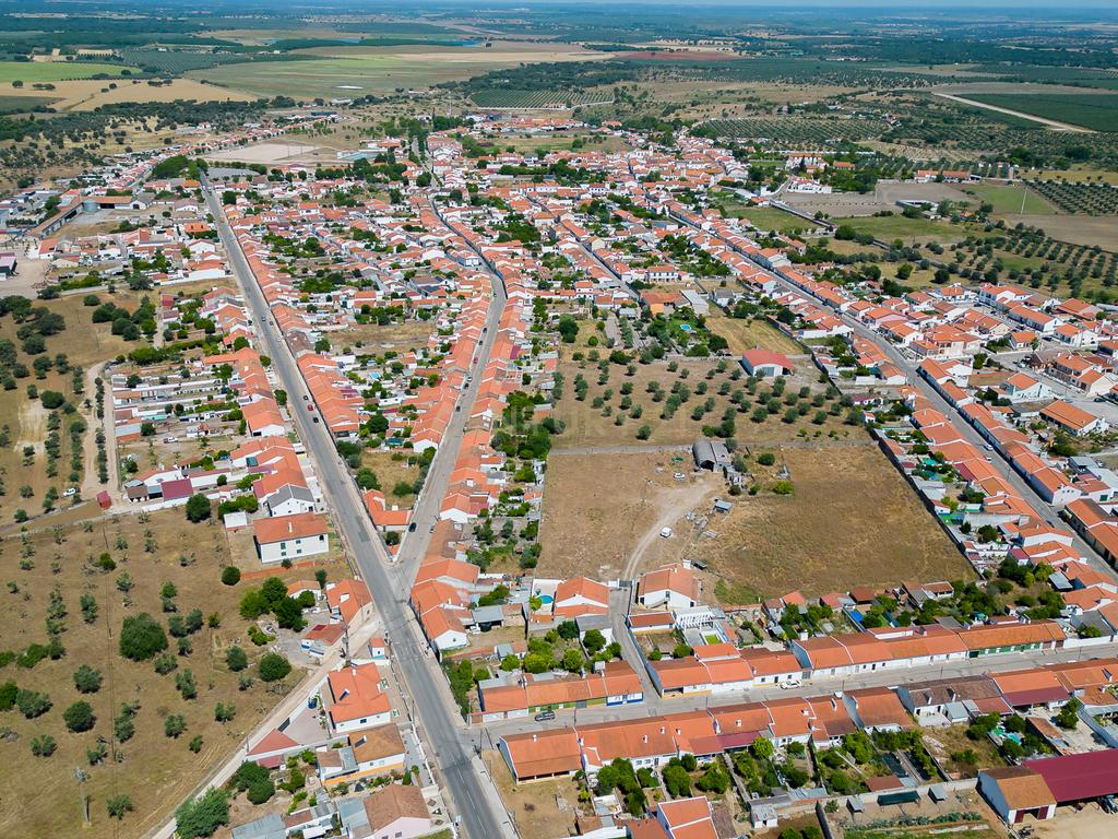 Terreno à Venda em Cano, Sousel, Portalegre - Image 6