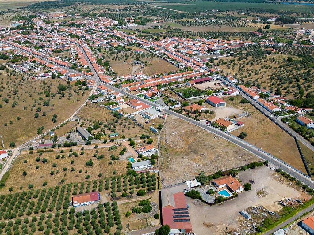 Terreno à Venda em Cano, Sousel, Portalegre - Image 11