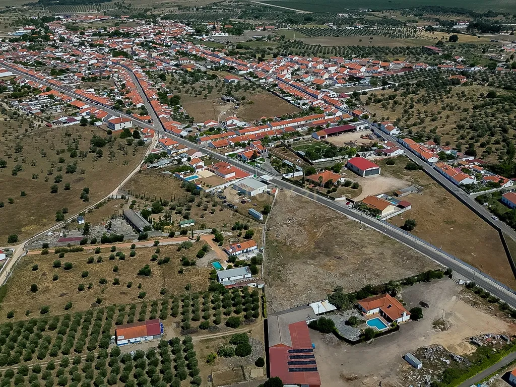 Terreno à Venda em Cano, Sousel, Portalegre - Image 4